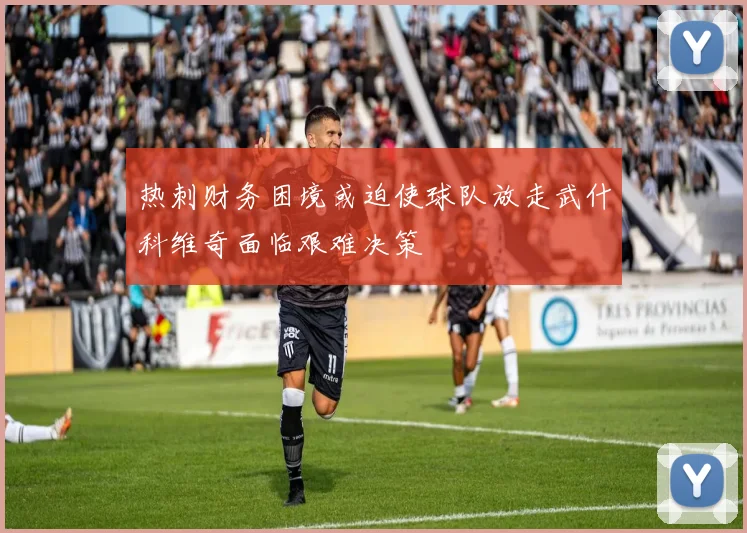 热刺财务困境或迫使球队放走武什科维奇面临艰难决策
